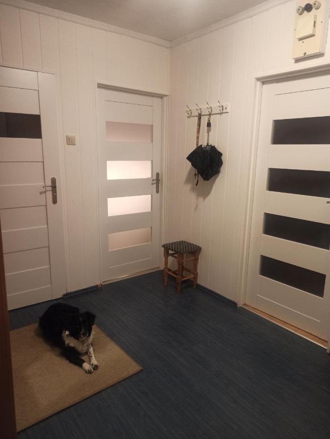 Apartament Za Rogiem Papierni Duszniki Zdrój 外观 照片